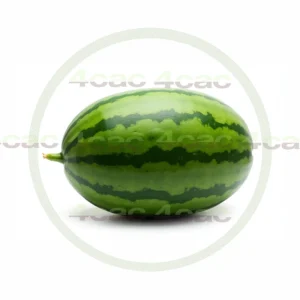 4cP011930AI生成素材