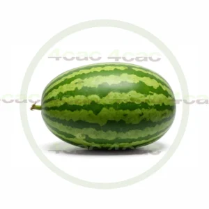 4cP011931AI生成素材