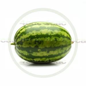 4cP011932AI生成素材