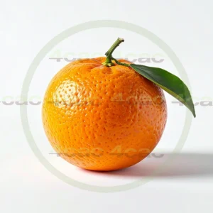 4cP011940AI生成素材