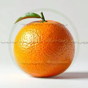 4cP011941AI生成素材