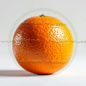 4cP011942AI生成素材