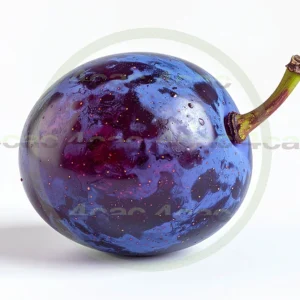 4cP011945AI生成素材