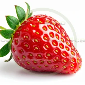 4cP011950AI生成素材