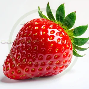 4cP011952AI生成素材