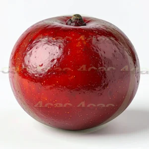 4cP011959AI生成素材