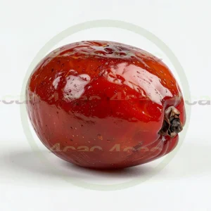 4cP011961AI生成素材