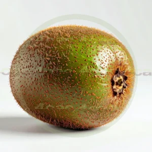 4cP011969AI生成素材