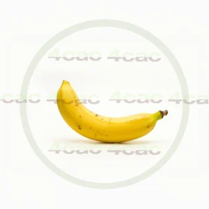 4cP011970AI生成素材