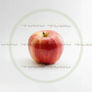 4cP011982AI生成素材