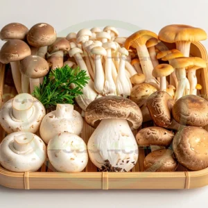 4cP012146AI生成素材