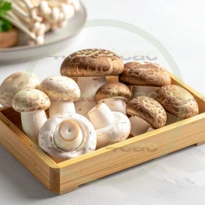 4cP012147AI生成素材