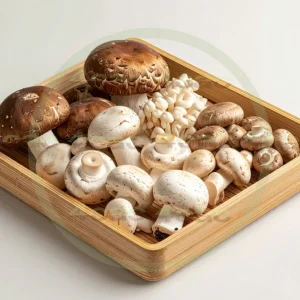 4cP012148AI生成素材