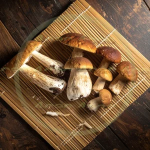 4cP012157AI生成素材