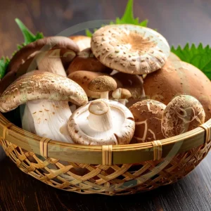 4cP012161AI生成素材