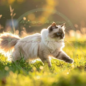 4cP012325AI生成素材