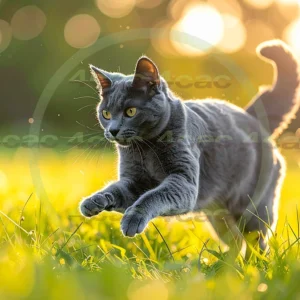 4cP012381AI生成素材