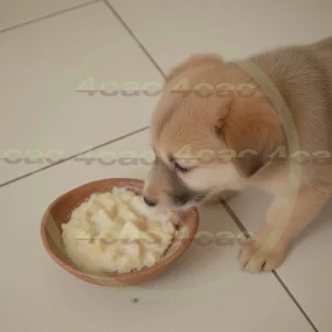 4cP012483AI生成素材