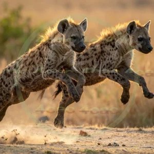 4cP012684AI生成素材