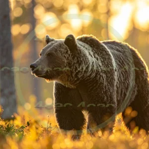 4cP012714AI生成素材