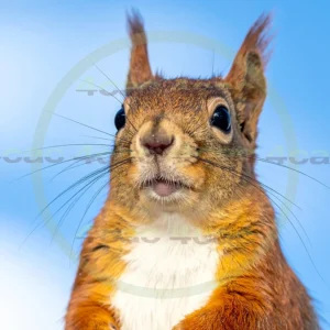 4cP012744AI生成素材