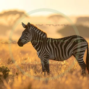 4cP012799AI生成素材