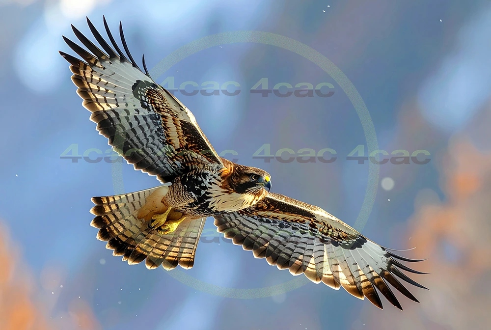 4cP012930AI生成素材