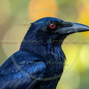 4cP012968AI生成素材