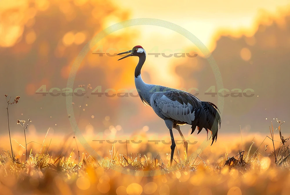 4cP013058AI生成素材