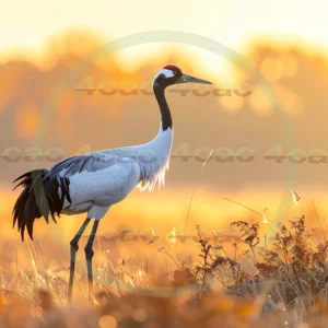 4cP013060AI生成素材