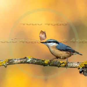 4cP013078AI生成素材