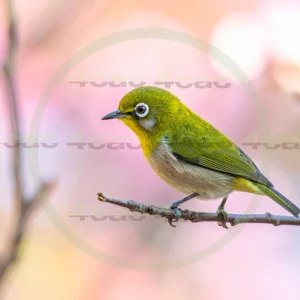 4cP013130AI生成素材