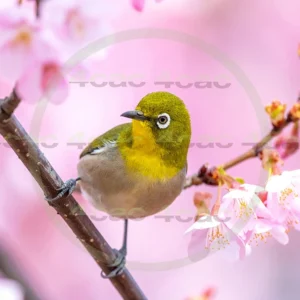 4cP013131AI生成素材