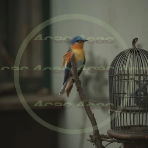 4cP013207AI生成素材