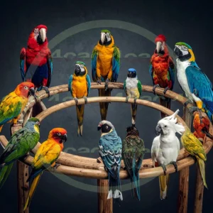 4cP013208AI生成素材