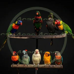 4cP013209AI生成素材