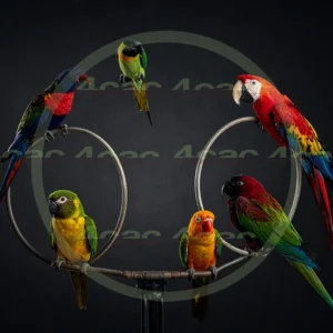 4cP013210AI生成素材