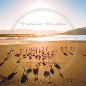 4cP013228AI生成素材