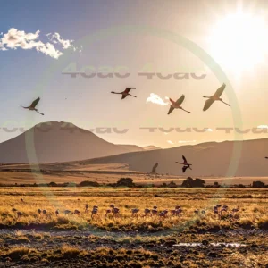 4cP013230AI生成素材