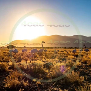 4cP013231AI生成素材