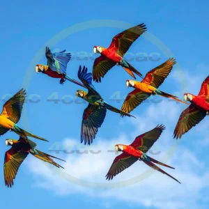 4cP013240AI生成素材