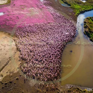 4cP013243AI生成素材