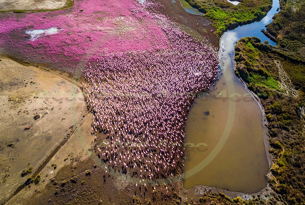 4cP013243AI生成素材