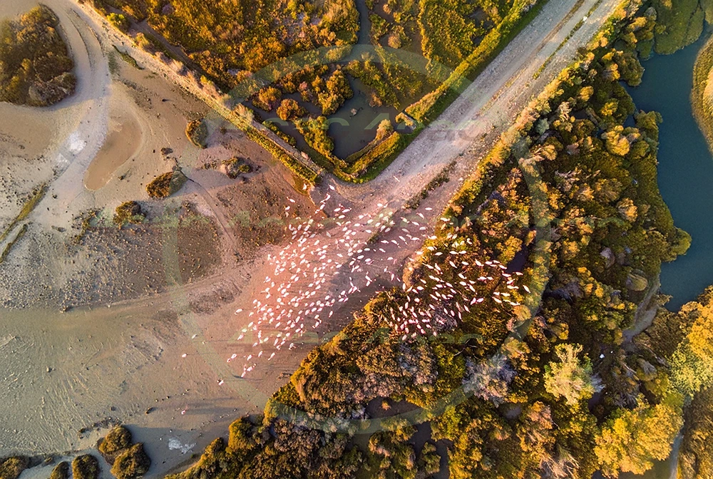 4cP013245AI生成素材