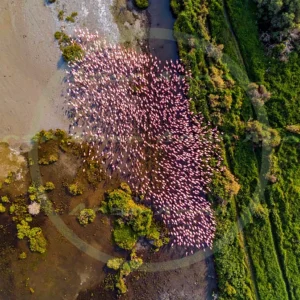 4cP013246AI生成素材