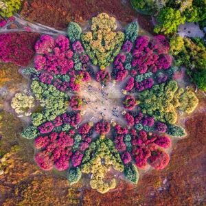 4cP013251AI生成素材