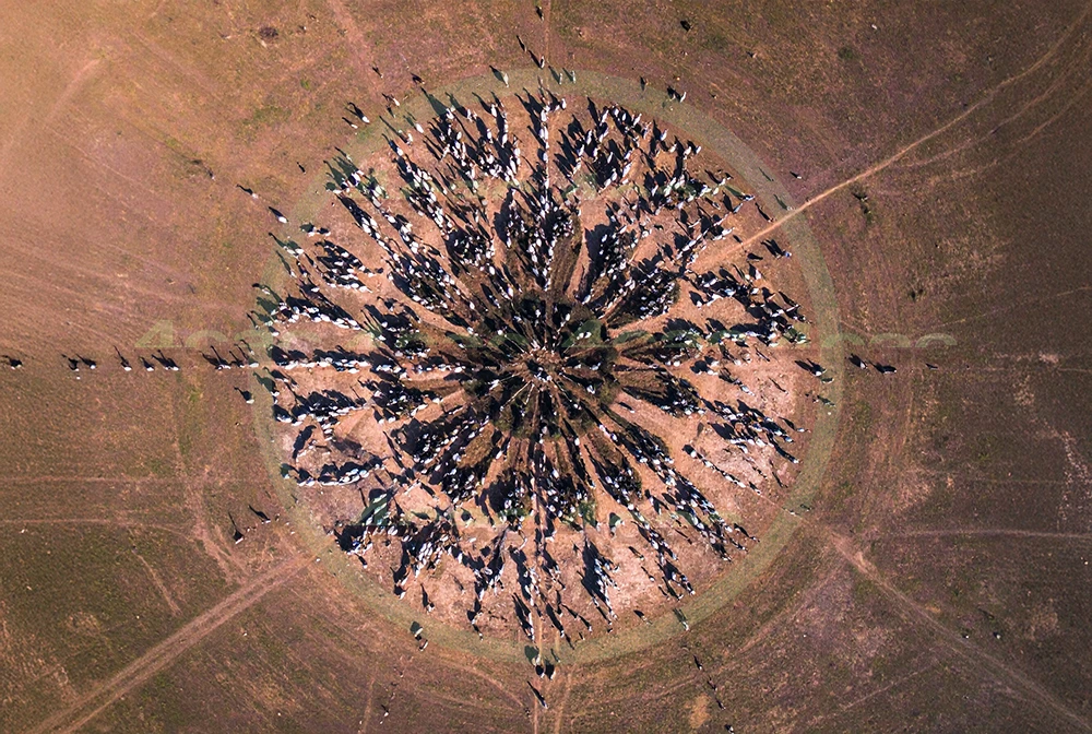 4cP013252AI生成素材