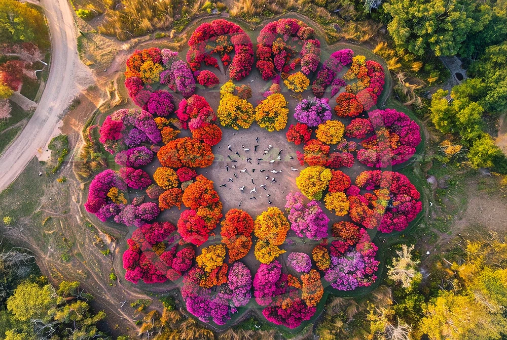 4cP013253AI生成素材