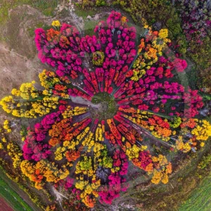 4cP013254AI生成素材