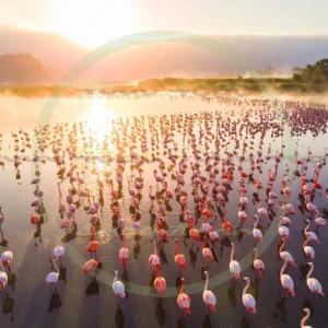 4cP013257AI生成素材